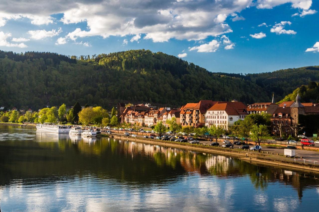 Hideaway Im Odenwald Nahe Heidelberg Apartment เอเบอร์บาค ภายนอก รูปภาพ